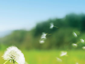 Reduce Waste and Cost for your Home